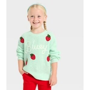 Bluey Chunky Mint Green Strawberry Knit Sweater Size  18 Months